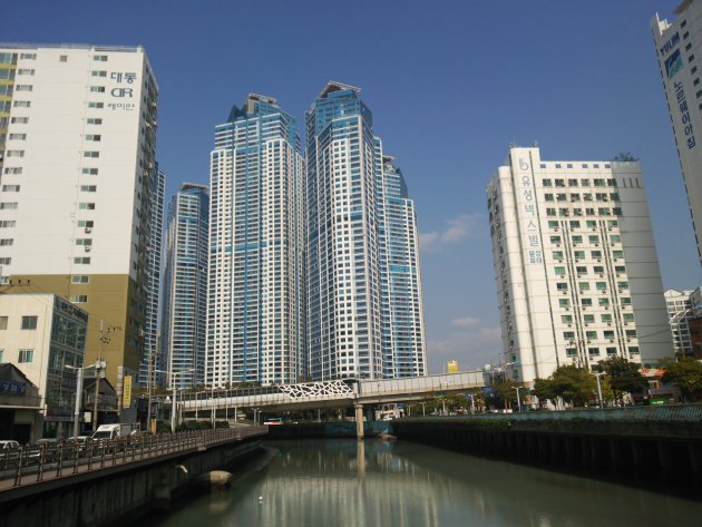 東川周辺の風景